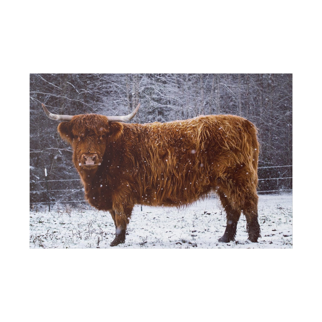 The Ruby Collection - Highland on Classic Stretched Canvas