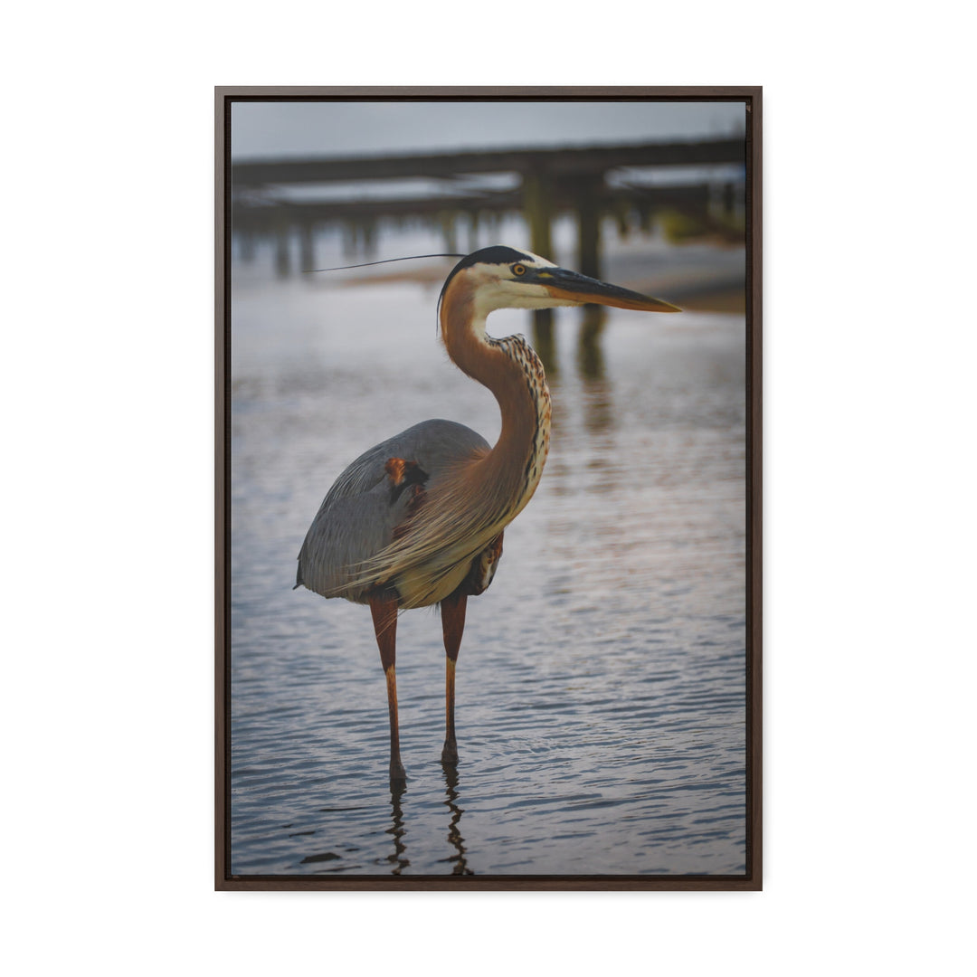 Great Blue Heron - Gallery Canvas Wraps, Vertical Frame