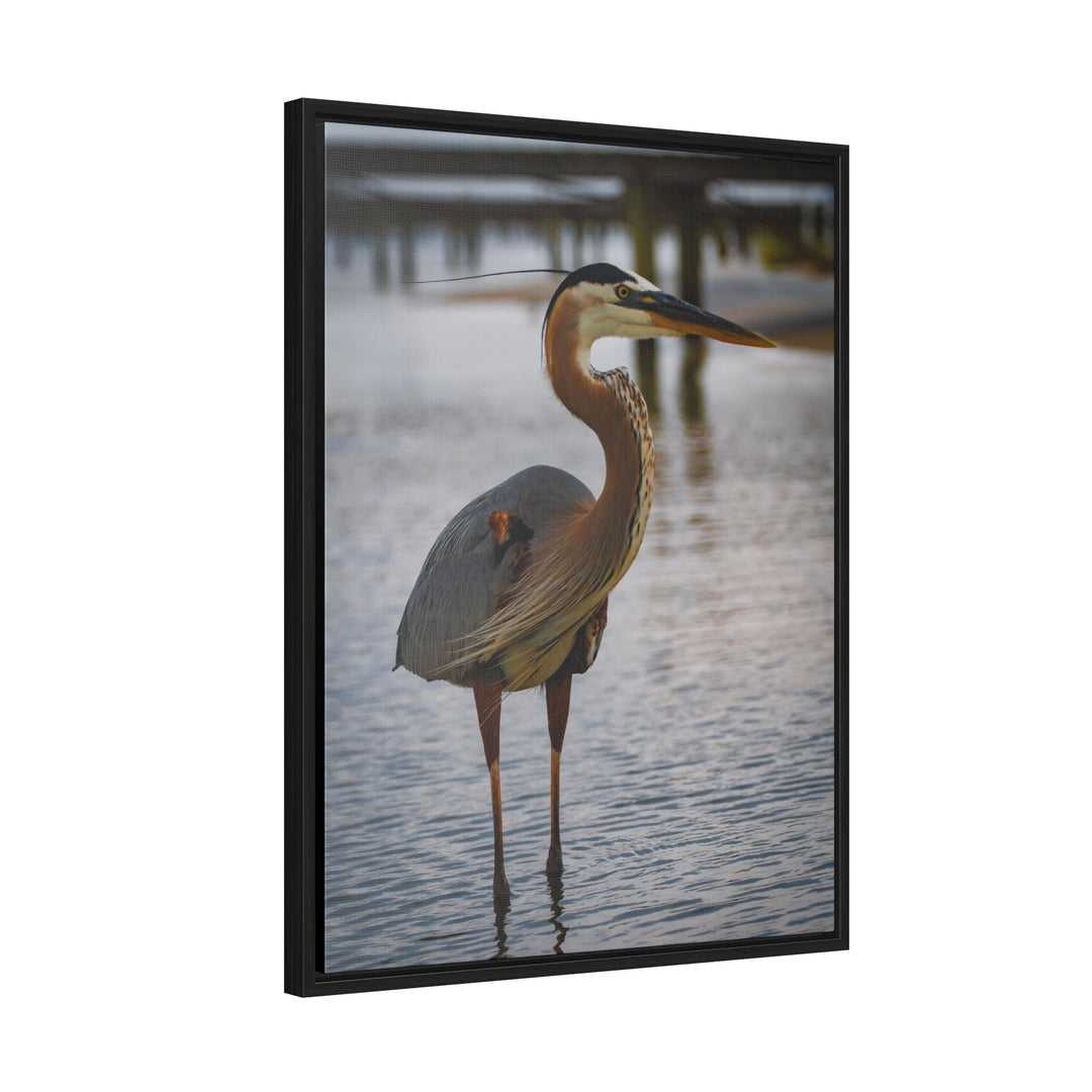 Great Blue Heron - Gallery Canvas Wraps, Vertical Frame