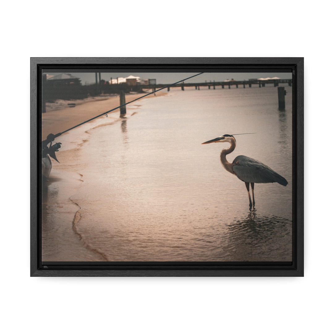 Great Blue Heron - Gallery Canvas Wraps, Horizontal Frame