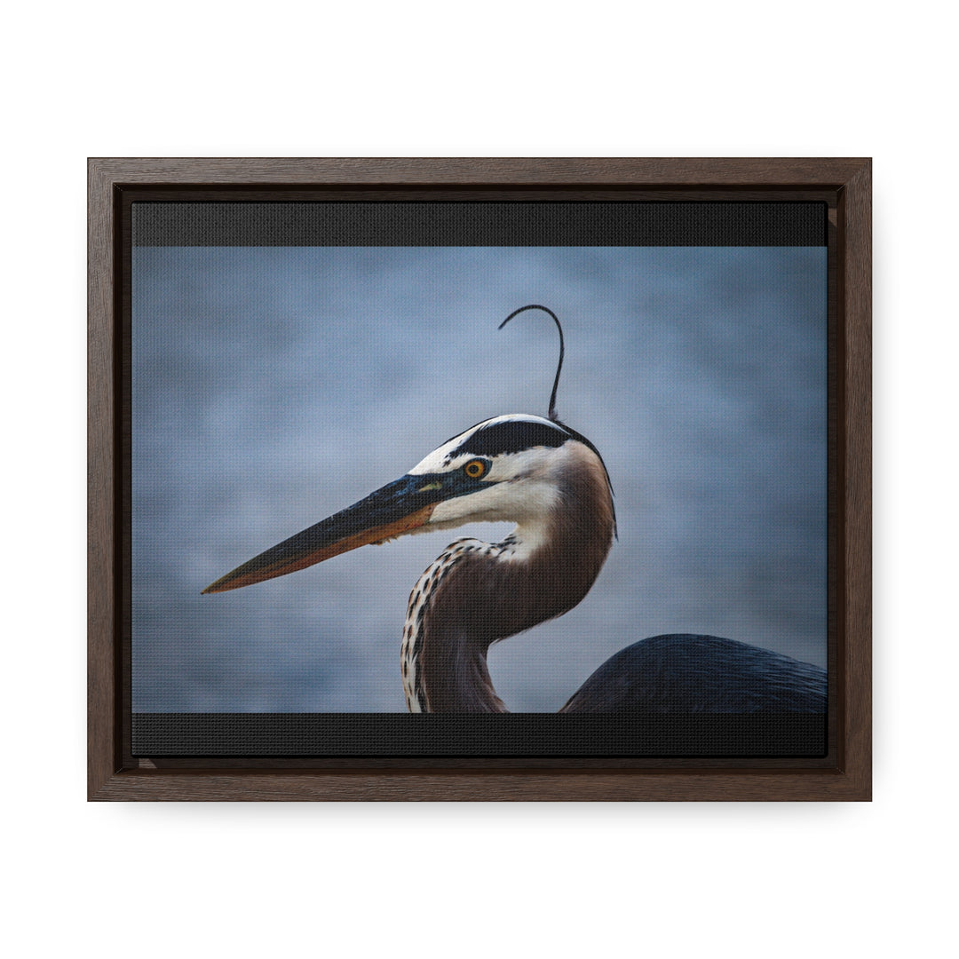 Great Blue Heron - Gallery Canvas Wraps, Horizontal Frame