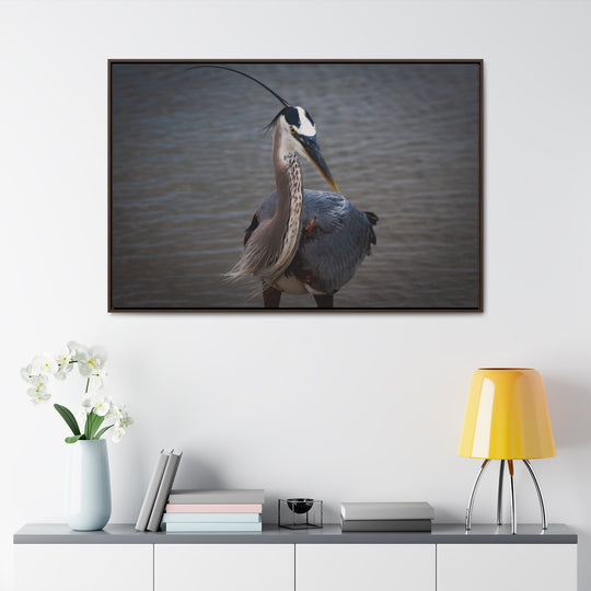 Great Blue Heron - Gallery Canvas Wraps, Horizontal Frame