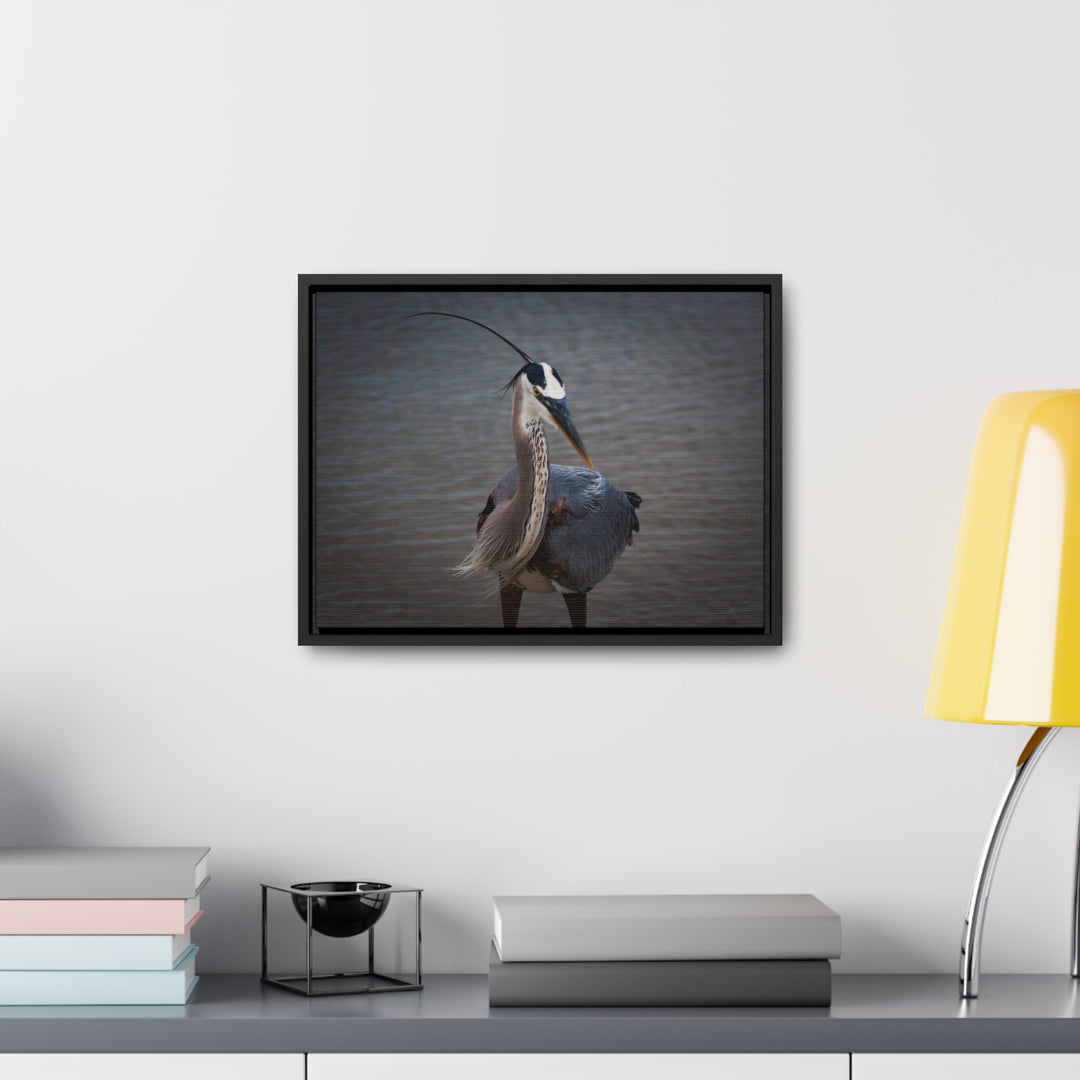 Great Blue Heron - Gallery Canvas Wraps, Horizontal Frame