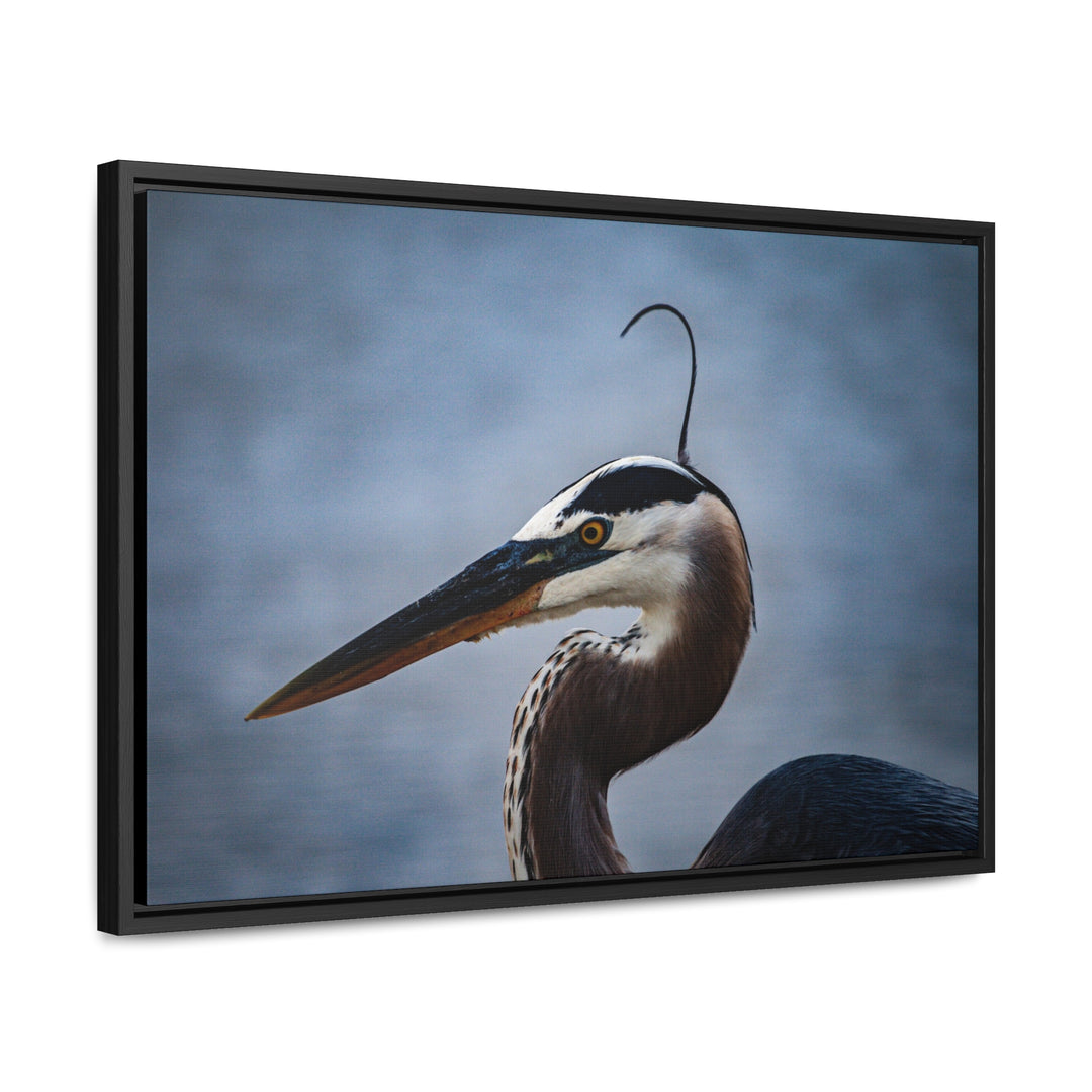 Great Blue Heron - Gallery Canvas Wraps, Horizontal Frame