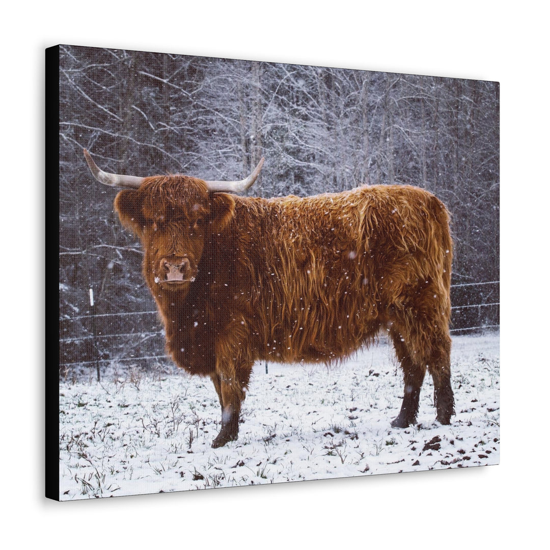 The Ruby Collection - Canvas Gallery Wraps