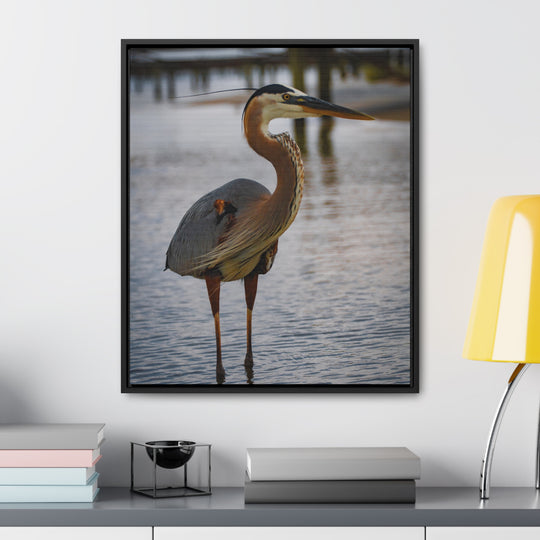 Great Blue Heron - Gallery Canvas Wraps, Vertical Frame