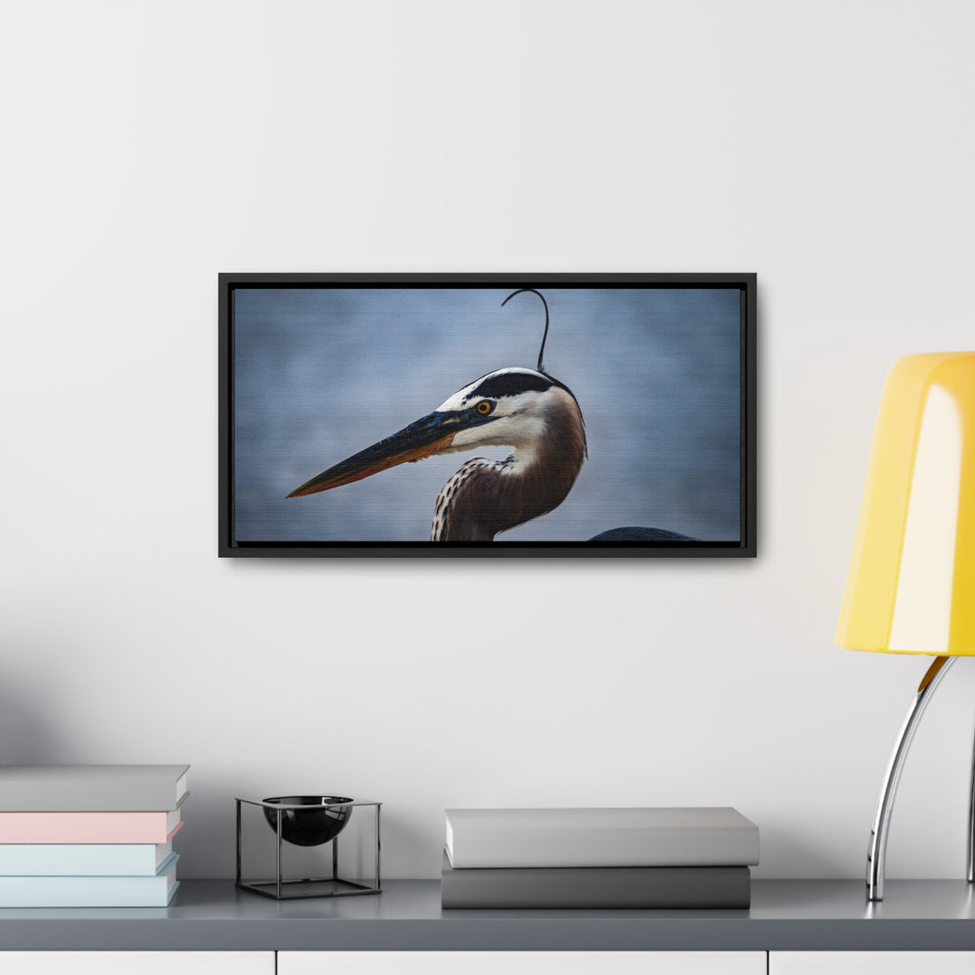 Great Blue Heron - Gallery Canvas Wraps, Horizontal Frame