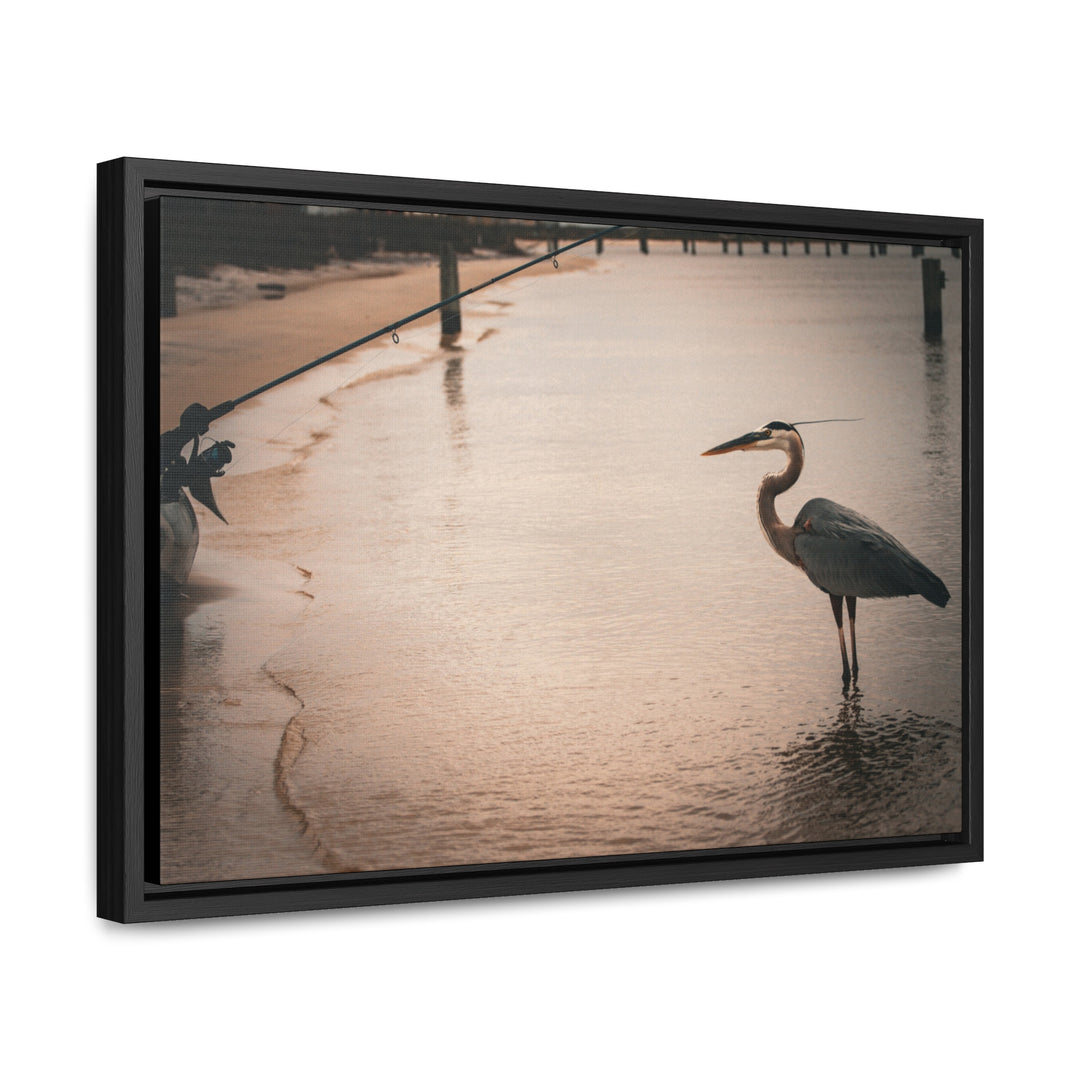 Great Blue Heron - Gallery Canvas Wraps, Horizontal Frame