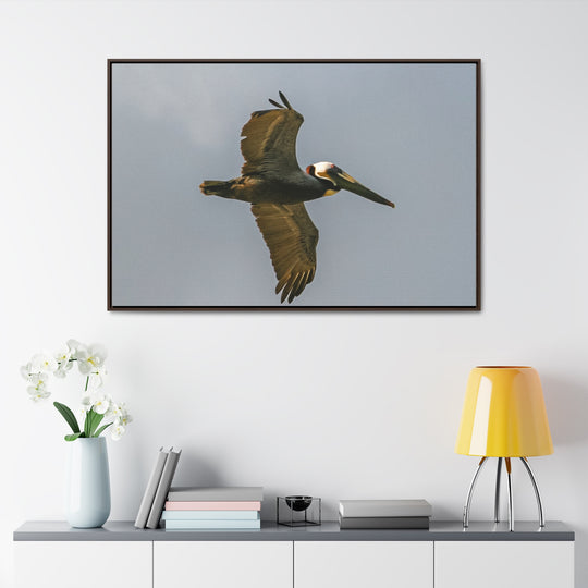 Pelican Flight - Gallery Canvas Wraps, Horizontal Frame