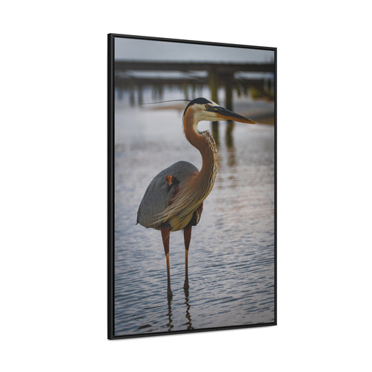 Great Blue Heron - Gallery Canvas Wraps, Vertical Frame