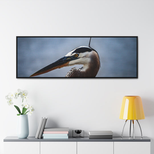 Great Blue Heron - Gallery Canvas Wraps, Horizontal Frame