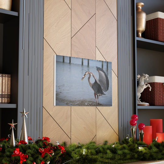 Great Blue Heron Canvas Gallery Wraps