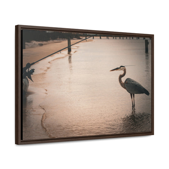 Great Blue Heron - Gallery Canvas Wraps, Horizontal Frame