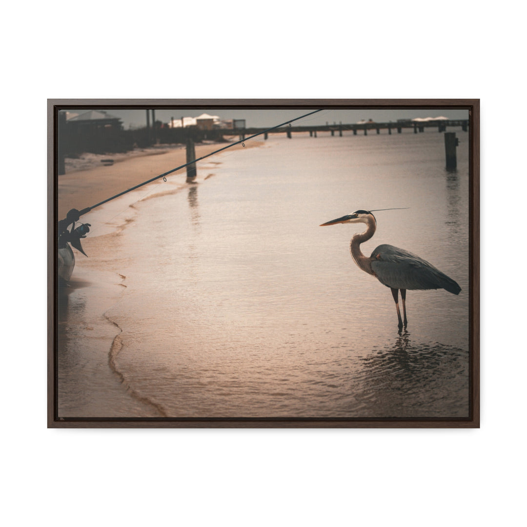 Great Blue Heron - Gallery Canvas Wraps, Horizontal Frame