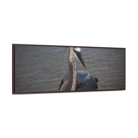 Great Blue Heron - Gallery Canvas Wraps, Horizontal Frame