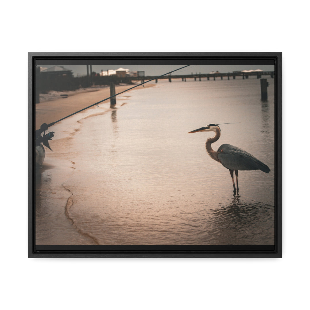 Great Blue Heron - Gallery Canvas Wraps, Horizontal Frame