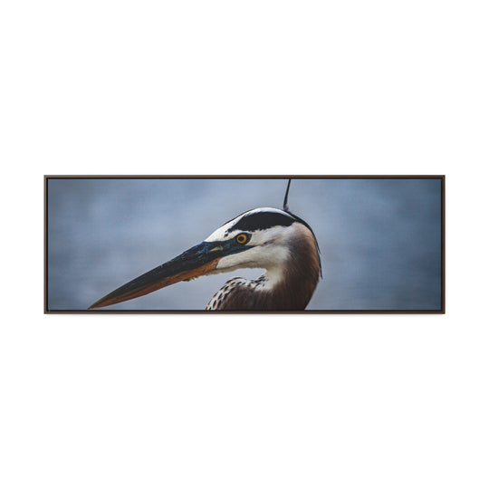 Great Blue Heron - Gallery Canvas Wraps, Horizontal Frame