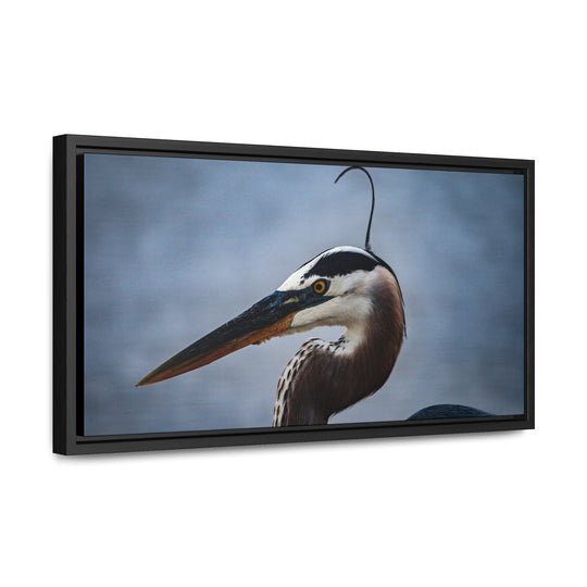 Great Blue Heron - Gallery Canvas Wraps, Horizontal Frame