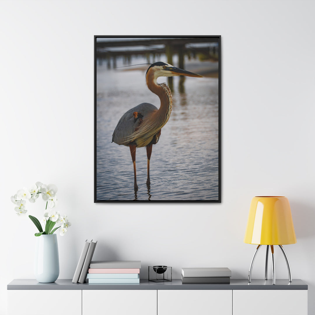 Great Blue Heron - Gallery Canvas Wraps, Vertical Frame