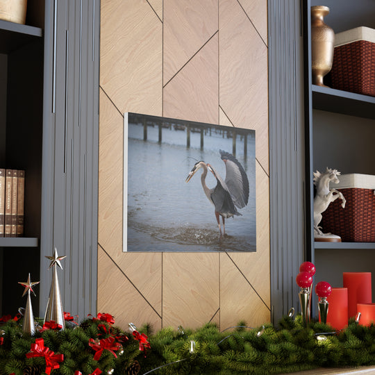 Great Blue Heron Canvas Gallery Wraps