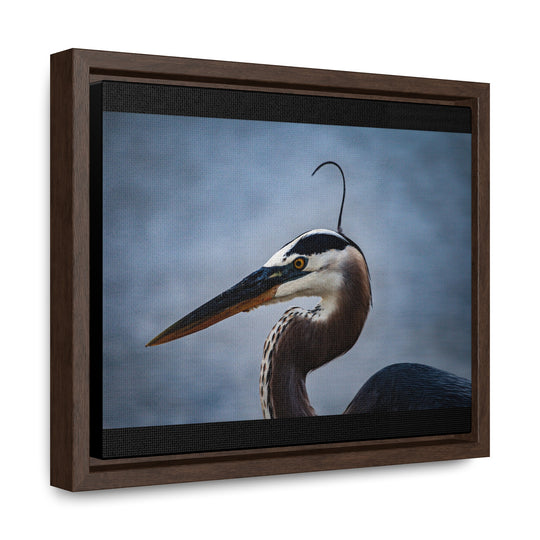 Great Blue Heron - Gallery Canvas Wraps, Horizontal Frame