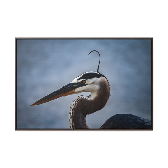 Great Blue Heron - Gallery Canvas Wraps, Horizontal Frame