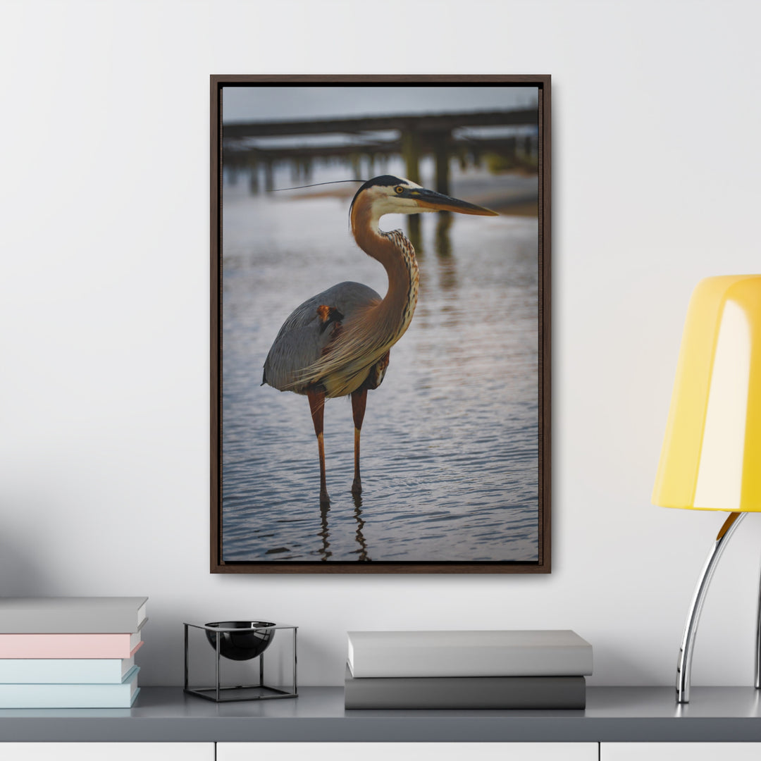 Great Blue Heron - Gallery Canvas Wraps, Vertical Frame