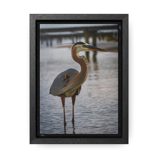 Great Blue Heron - Gallery Canvas Wraps, Vertical Frame