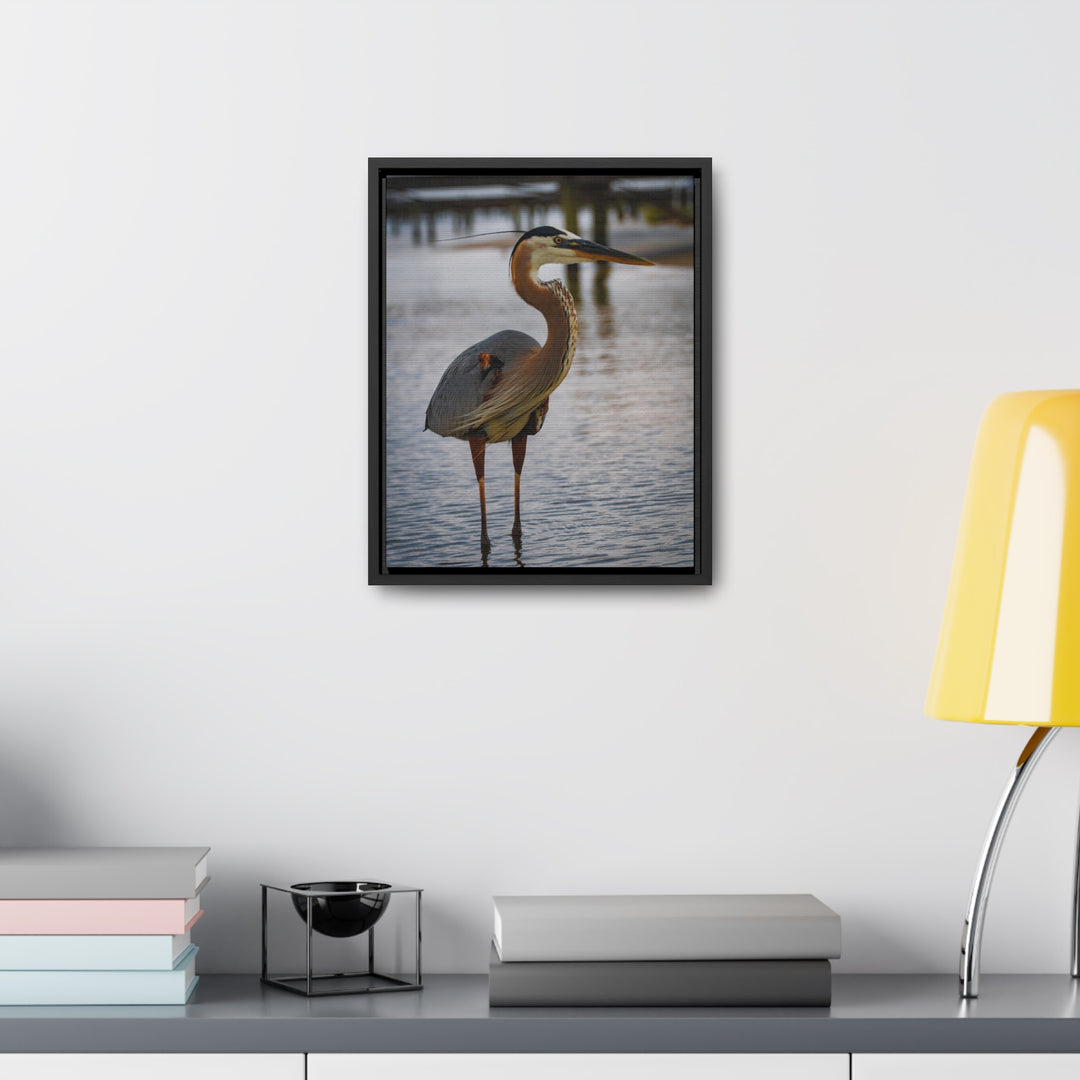 Great Blue Heron - Gallery Canvas Wraps, Vertical Frame