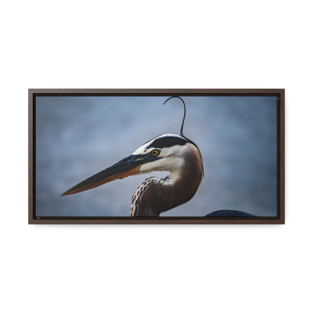 Great Blue Heron - Gallery Canvas Wraps, Horizontal Frame