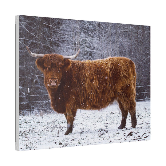 The Ruby Collection - Highland on Classic Stretched Canvas