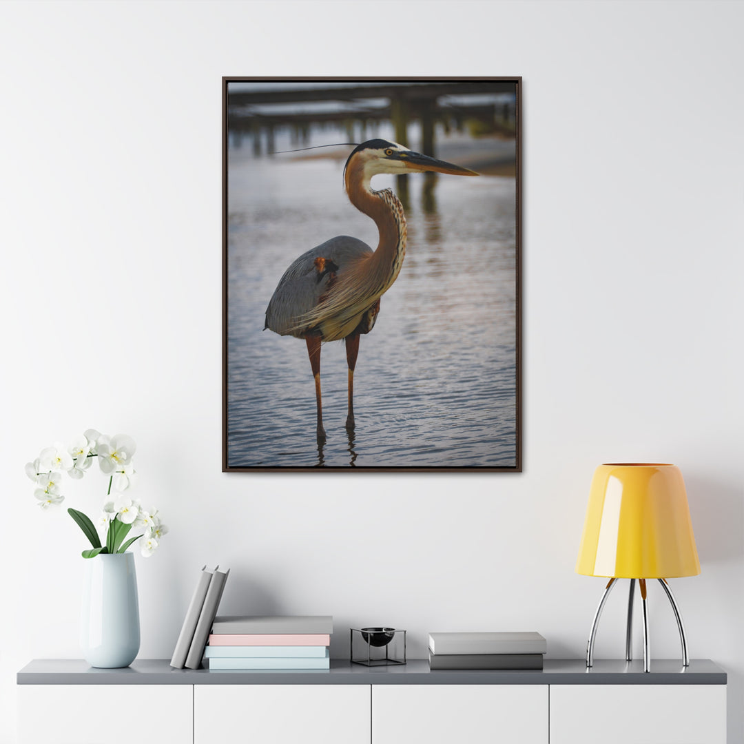 Great Blue Heron - Gallery Canvas Wraps, Vertical Frame