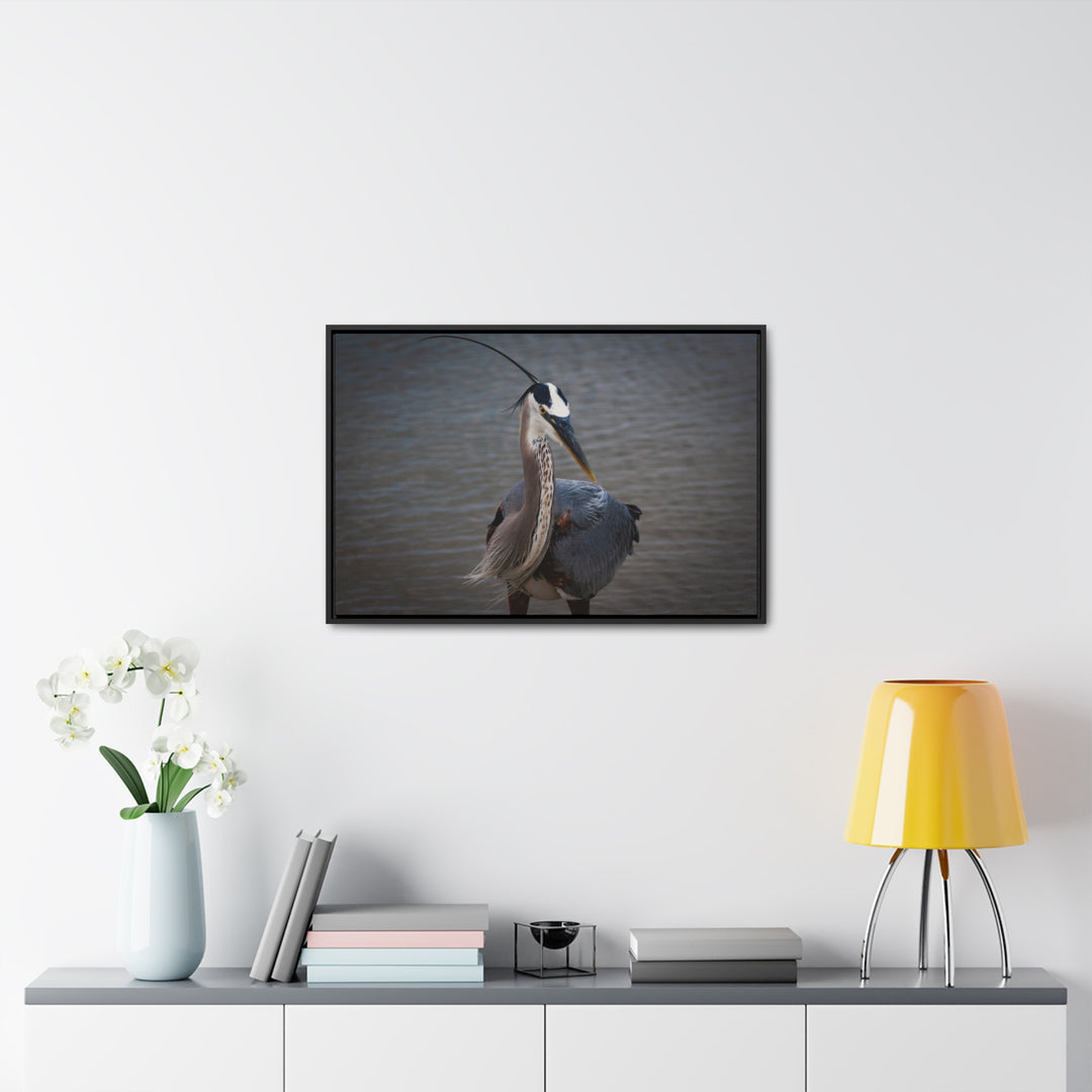 Great Blue Heron - Gallery Canvas Wraps, Horizontal Frame