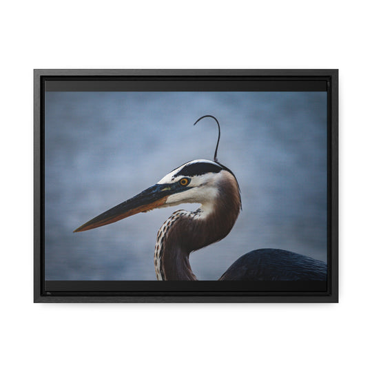 Great Blue Heron - Gallery Canvas Wraps, Horizontal Frame