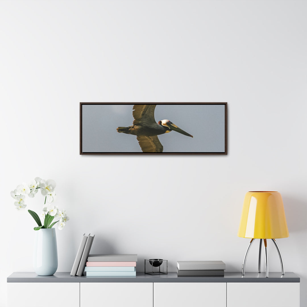 Pelican Flight - Gallery Canvas Wraps, Horizontal Frame