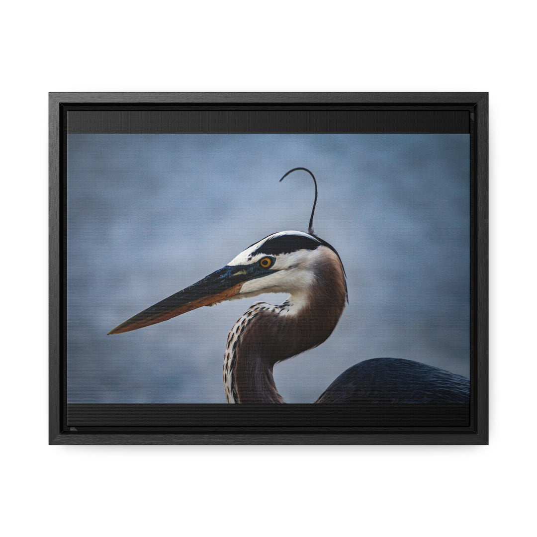 Great Blue Heron - Gallery Canvas Wraps, Horizontal Frame