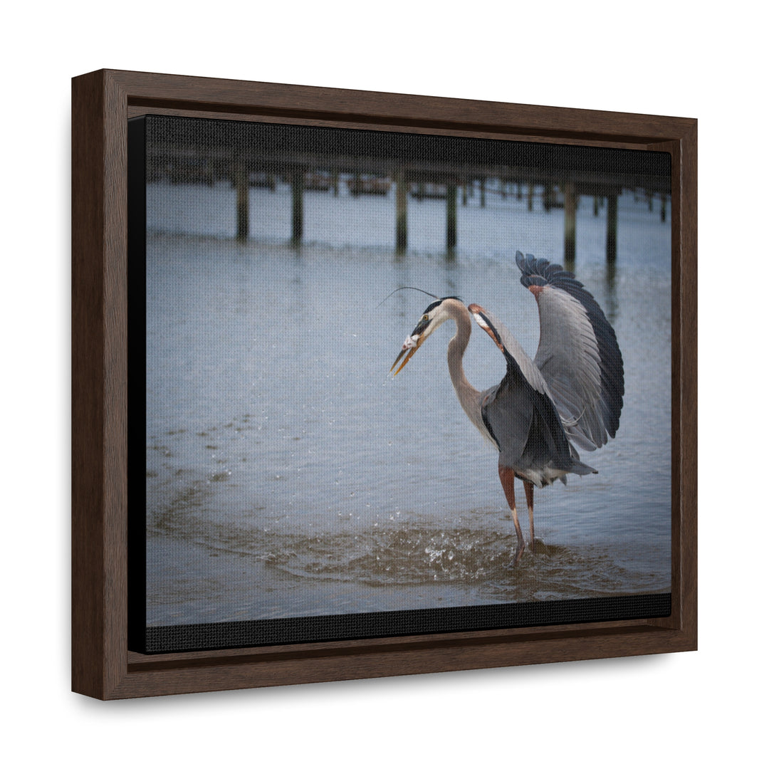 Great Blue Heron - Gallery Canvas Wraps, Horizontal Frame