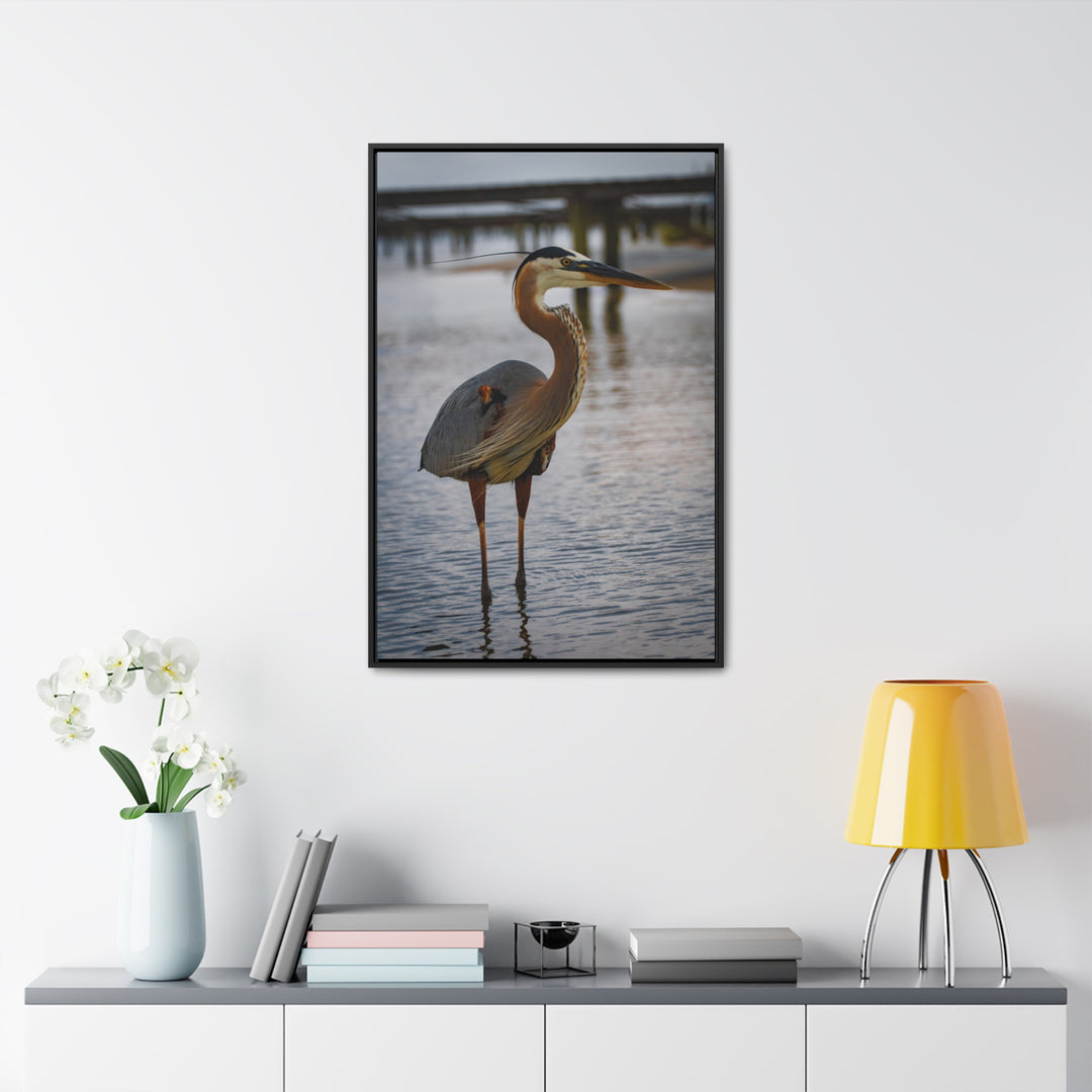 Great Blue Heron - Gallery Canvas Wraps, Vertical Frame