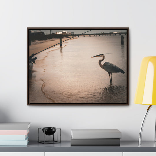 Great Blue Heron - Gallery Canvas Wraps, Horizontal Frame