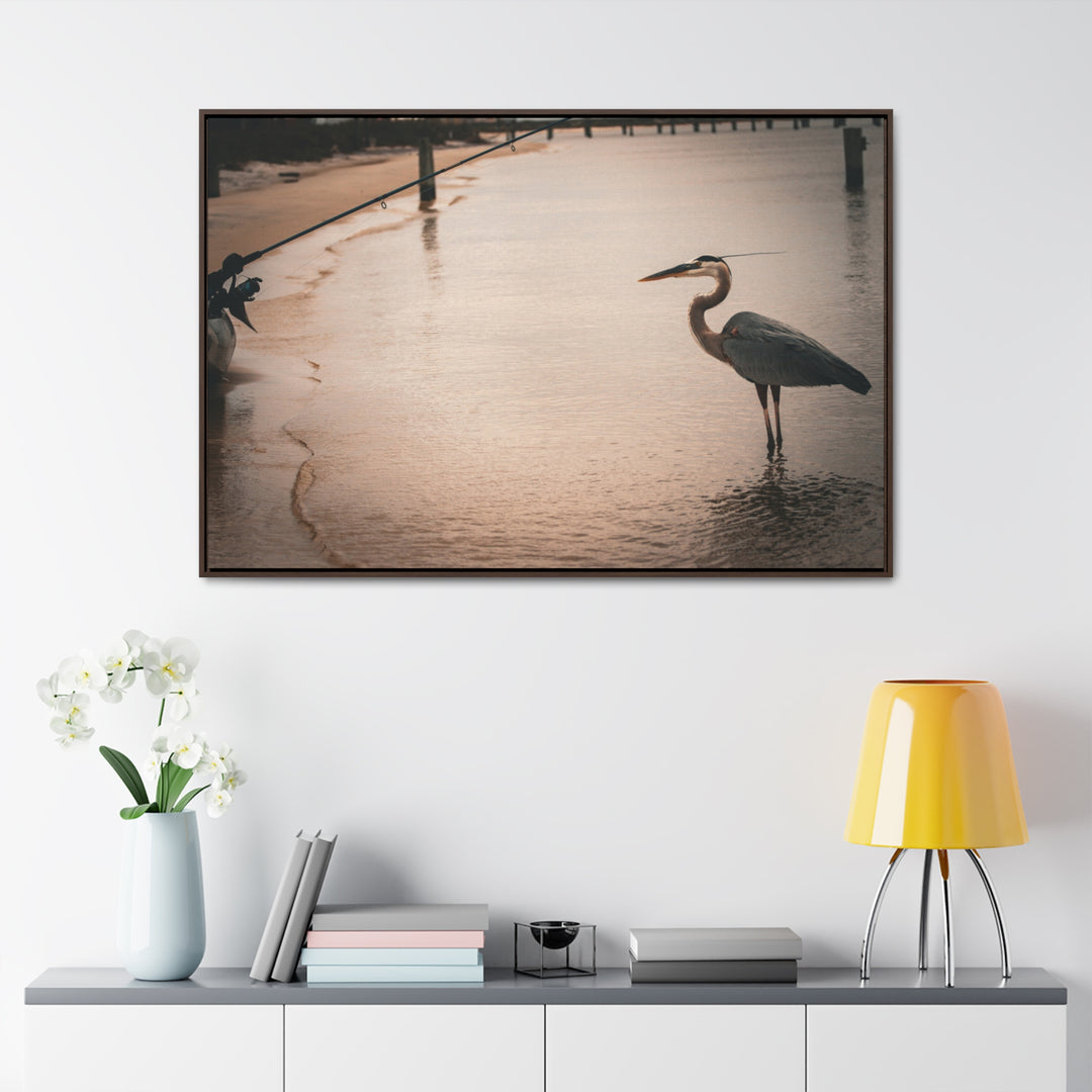 Great Blue Heron - Gallery Canvas Wraps, Horizontal Frame