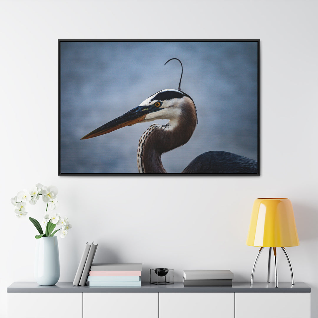 Great Blue Heron - Gallery Canvas Wraps, Horizontal Frame