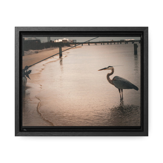 Great Blue Heron - Gallery Canvas Wraps, Horizontal Frame