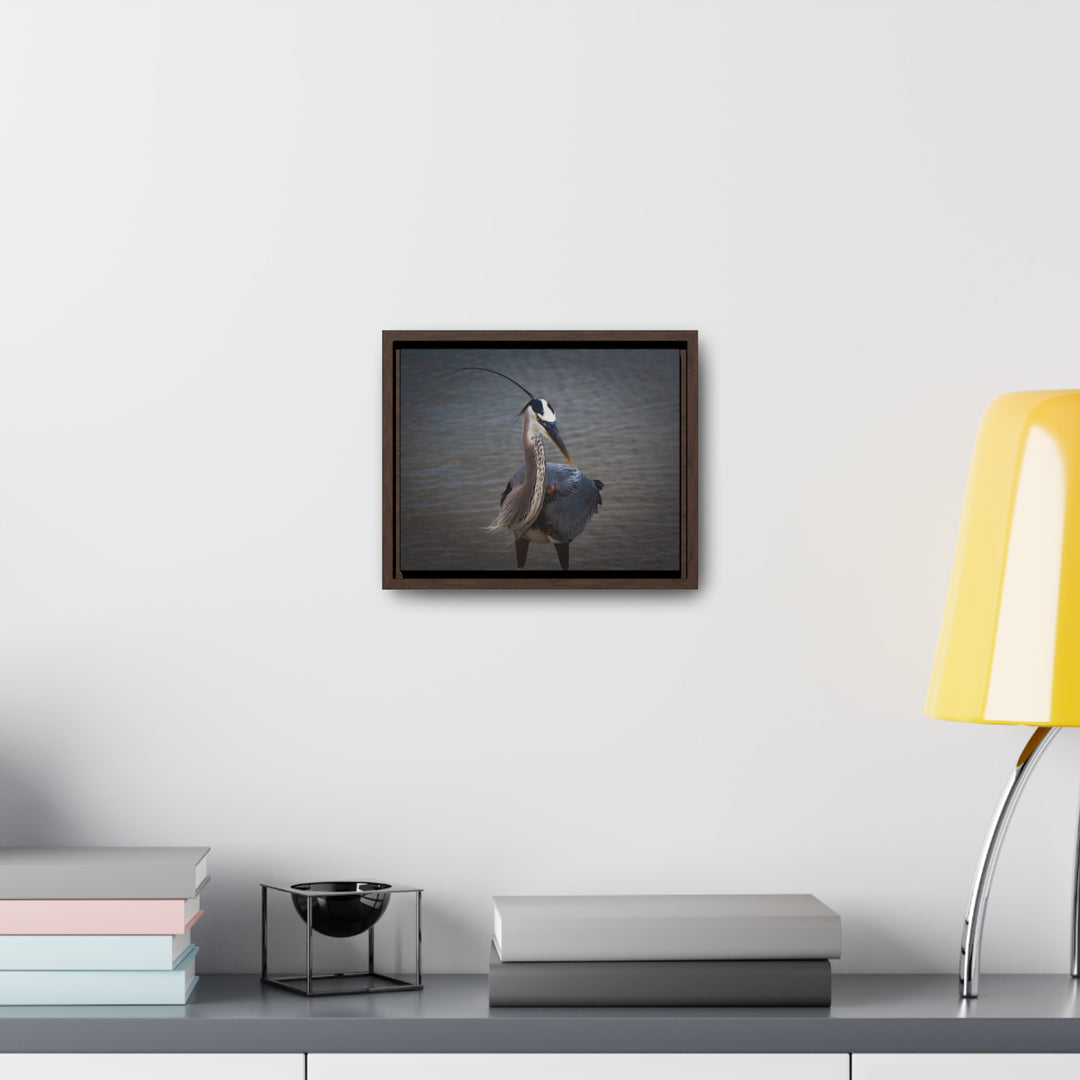 Great Blue Heron - Gallery Canvas Wraps, Horizontal Frame