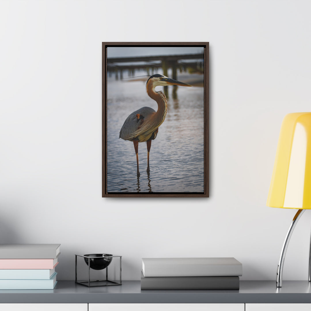 Great Blue Heron - Gallery Canvas Wraps, Vertical Frame