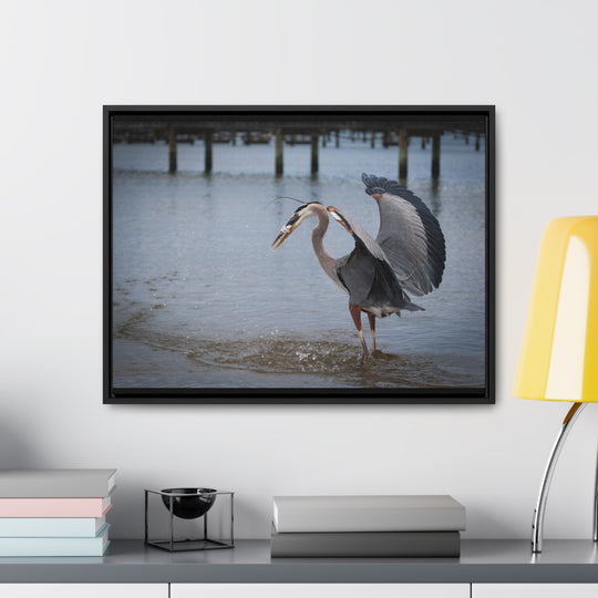 Great Blue Heron - Gallery Canvas Wraps, Horizontal Frame