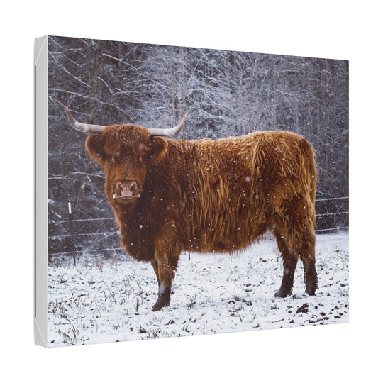 The Ruby Collection - Highland on Classic Stretched Canvas