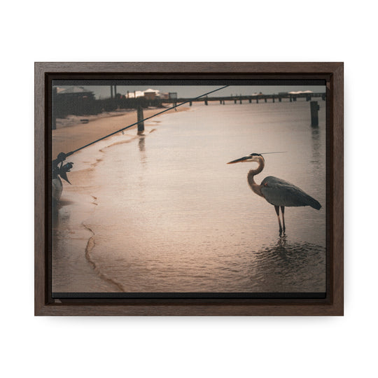 Great Blue Heron - Gallery Canvas Wraps, Horizontal Frame