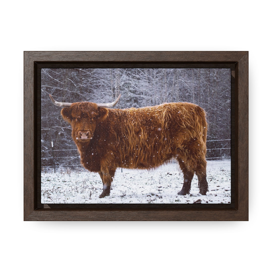 The Ruby Collection - Gallery Canvas Wraps, Horizontal Frame