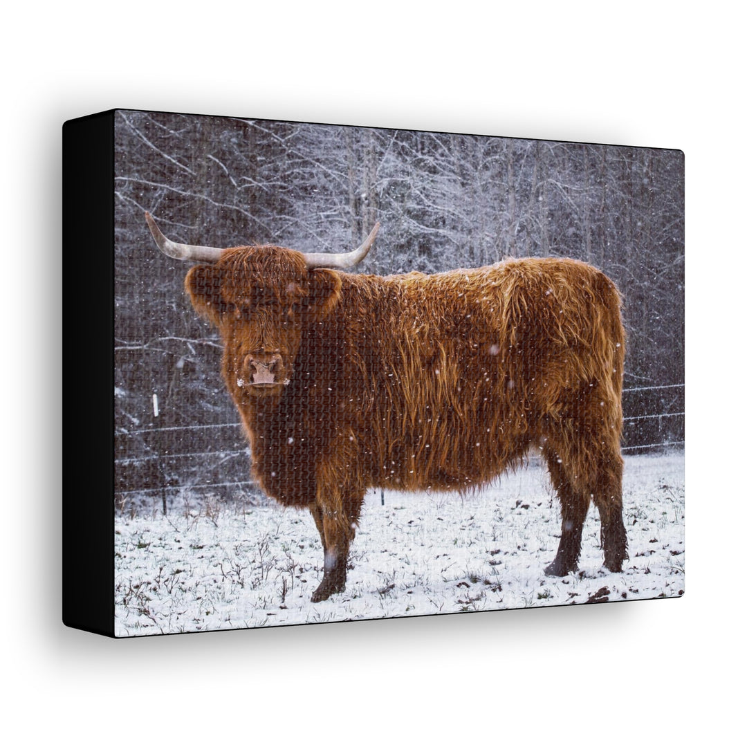 The Ruby Collection - Canvas Gallery Wraps