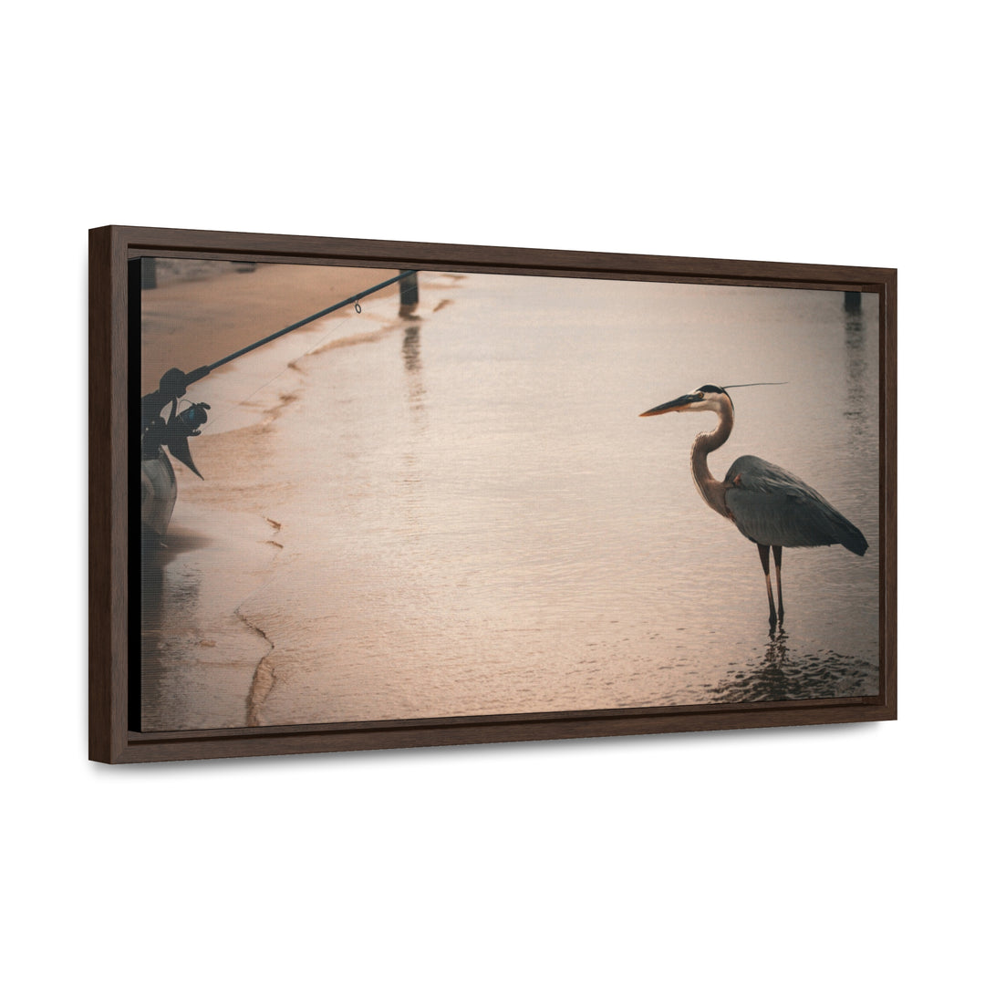 Great Blue Heron - Gallery Canvas Wraps, Horizontal Frame